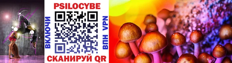 Галлюциногенные грибы Psilocybine cubensis  Унеча 
